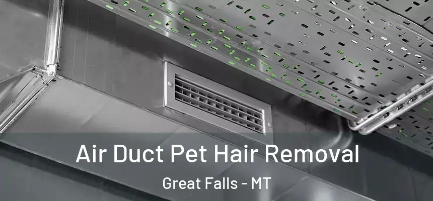  Air Duct Pet Hair Removal Great Falls - MT