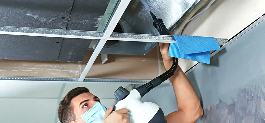 Our Air Duct Rodent Removal Services in Great Falls, MT
