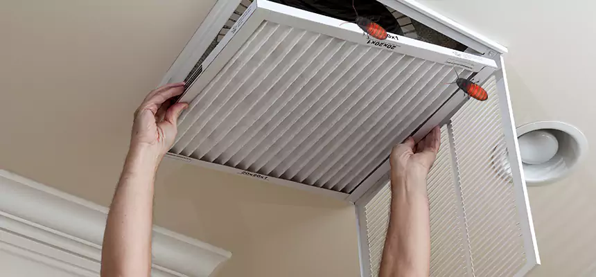 Our Insect Removal from Air Ducts Services in Great Falls, MT