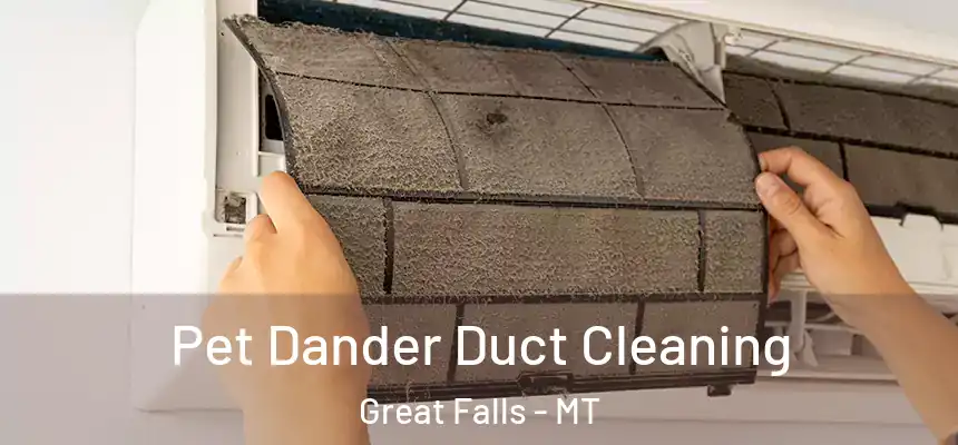 Pet Dander Duct Cleaning Great Falls - MT