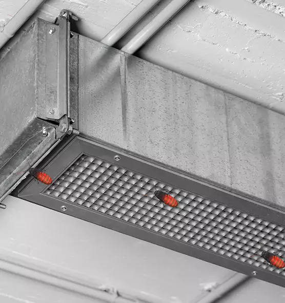 About Air Duct Cockroach Removal in Great Falls, MT