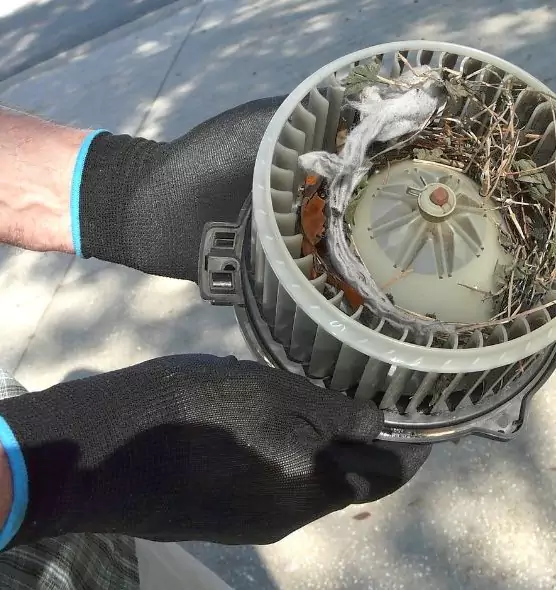 About Air Duct Mice Removal in Great Falls, MT