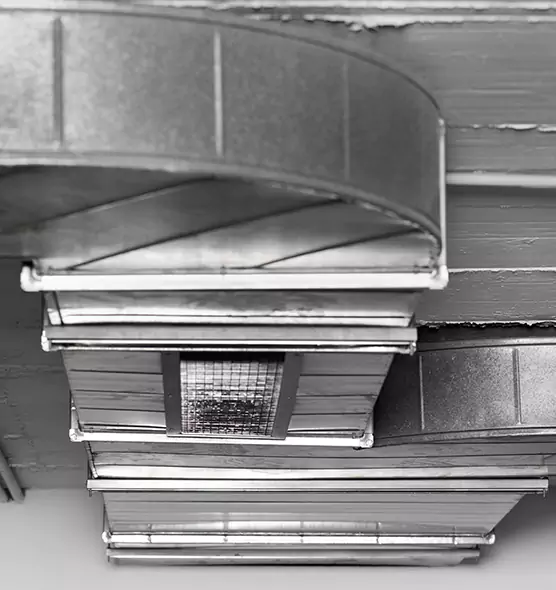 Professional Air Duct Pest Removal in Great Falls, MT