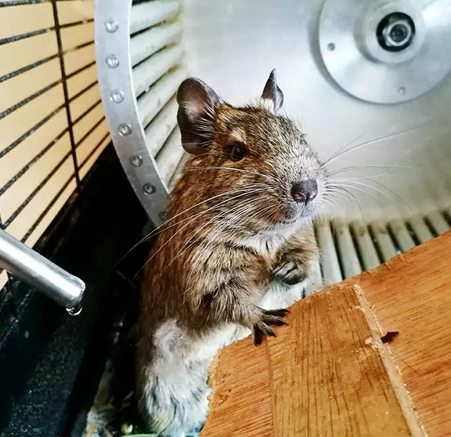 Why Homeowners & Businesses Trust Us Great Falls, MT?